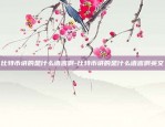 币安怎么获得空投-