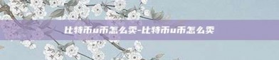 比特币u币怎么卖-比特币u币怎么卖