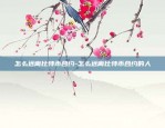 币安合约量化demo-