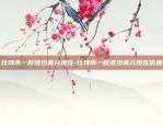 币安C2C网址-