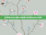 比特币wallet是什么意思-比特币wallet文件