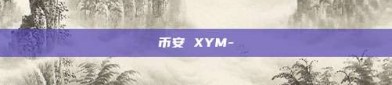 币安 XYM-