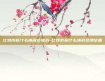 如果比特币合法怎么管控-比特币要被管制了吗