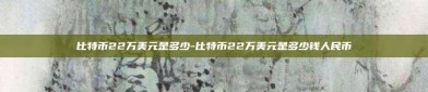 比特币22万美元是多少-比特币22万美元是多少钱人民币