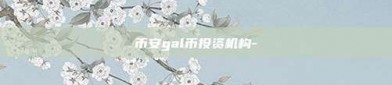 币安gal币投资机构-