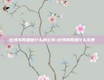 虚拟货币的筹码是什么-虚拟币众筹价格是什么意思