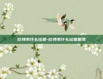 虚拟货币合约加仓-虚拟币合约操作