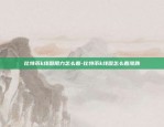 虚拟货币都在干什么呢呢-