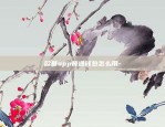 币安sol可以转钱包吗-