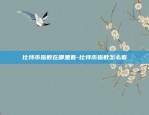 殴易下载(旧版本V6.4.49)-