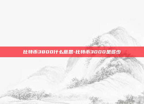 比特币3800什么意思-比特币3000是多少