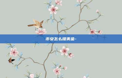 币安怎么提美金-