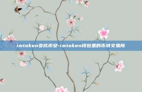 imtoken变成币安-imtoken钱包里的币转交易所