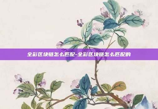 全彩区块链怎么匹配-全彩区块链怎么匹配的