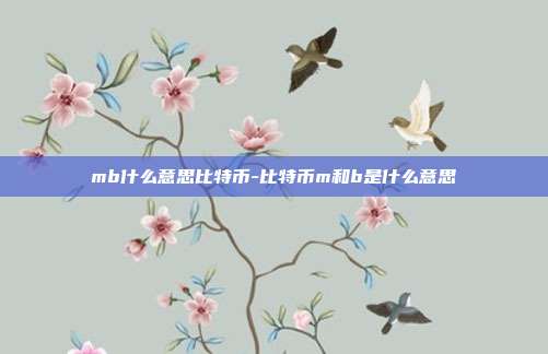 mb什么意思比特币-比特币m和b是什么意思