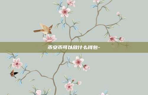 币安币可以放什么钱包-