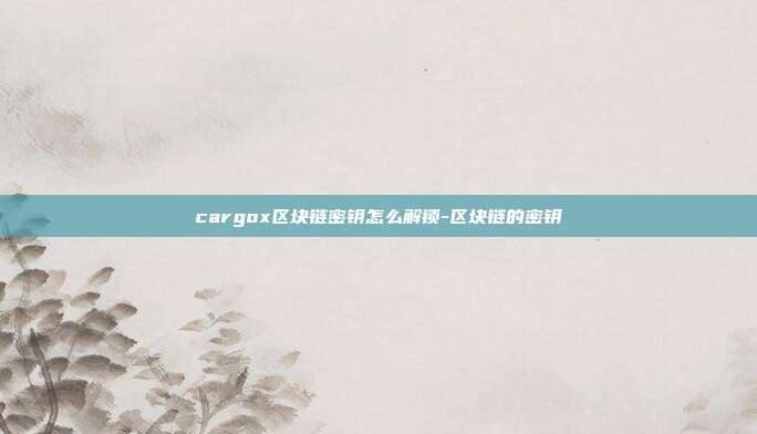 cargox区块链密钥怎么解锁-区块链的密钥