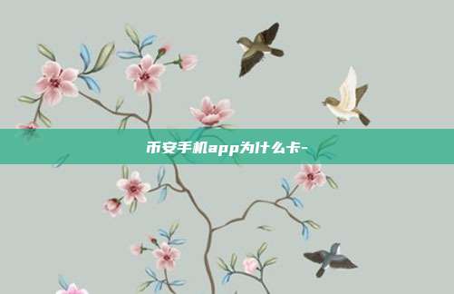 币安手机app为什么卡-