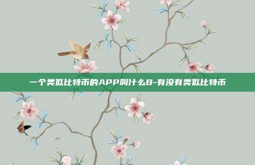 一个类似比特币的APP叫什么B-有没有类似比特币