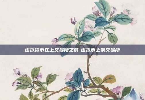 虚拟货币在上交易所之前-虚拟币上架交易所