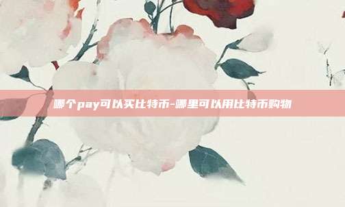 哪个pay可以买比特币-哪里可以用比特币购物