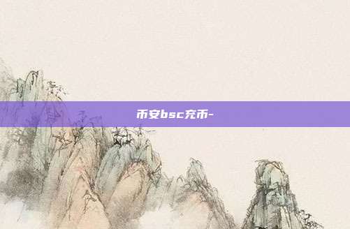 币安bsc充币-