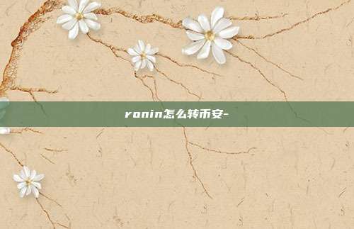 ronin怎么转币安-