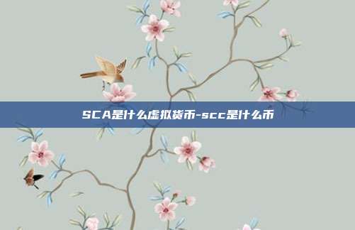 SCA是什么虚拟货币-scc是什么币