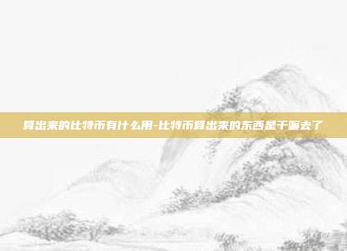 算出来的比特币有什么用-比特币算出来的东西是干嘛去了