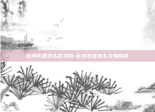 比特币是怎么成交的-比特币是怎么交易成钱