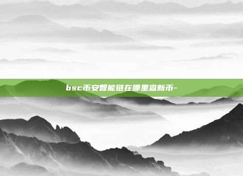 bsc币安智能链在哪里查新币-