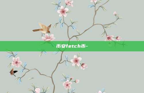 币安fetch币-