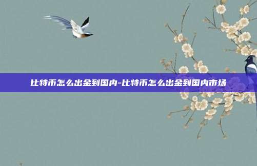 比特币怎么出金到国内-比特币怎么出金到国内市场