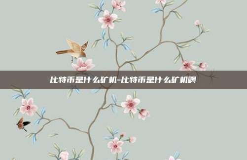 比特币是什么矿机-比特币是什么矿机啊