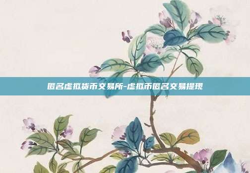 匿名虚拟货币交易所-虚拟币匿名交易提现