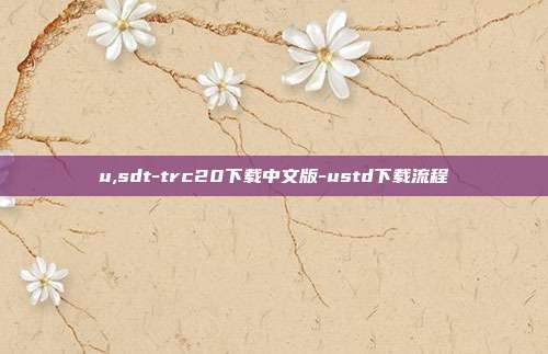 u,sdt-trc20下载中文版-ustd下载流程