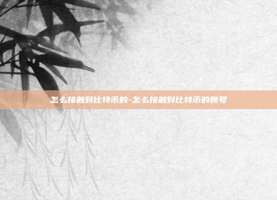 怎么接触到比特币的-怎么接触到比特币的账号