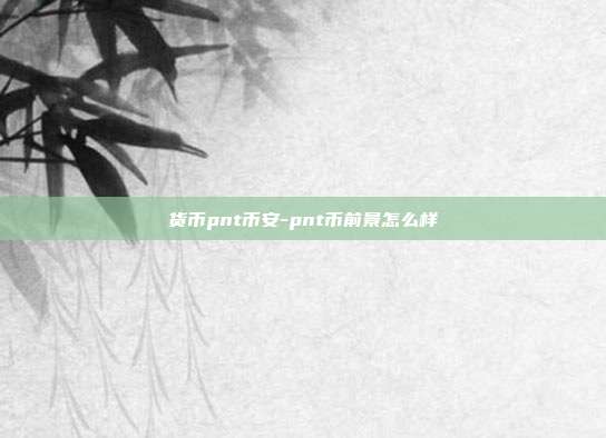 货币pnt币安-pnt币前景怎么样