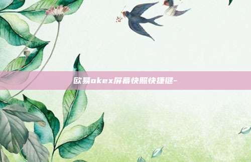 欧易okex屏幕快照快捷键-