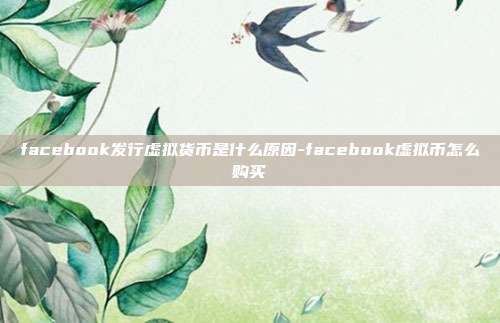 facebook发行虚拟货币是什么原因-facebook虚拟币怎么购买