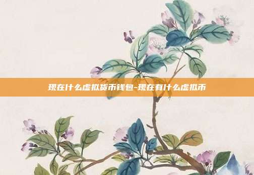 现在什么虚拟货币钱包-现在有什么虚拟币