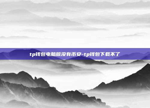 tp钱包电脑版没有币安-tp钱包下载不了