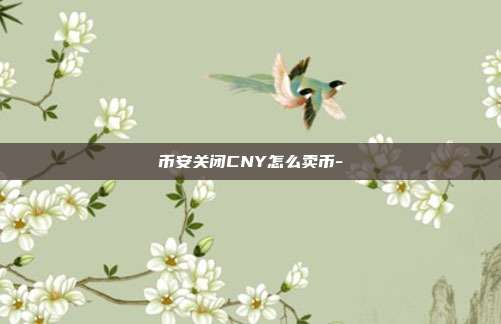 币安关闭CNY怎么卖币-