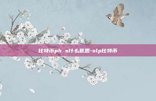 比特币ph s什么意思-slp比特币