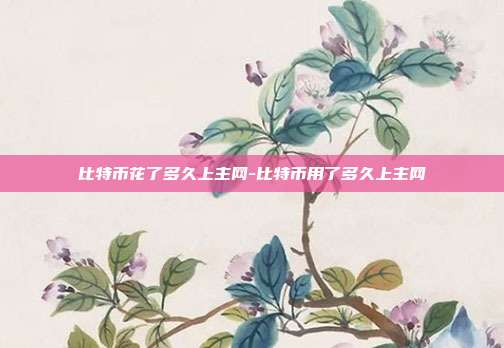 比特币花了多久上主网-比特币用了多久上主网