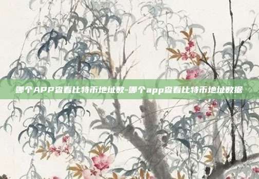 哪个APP查看比特币地址数-哪个app查看比特币地址数据