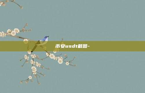 币安usdt截图-