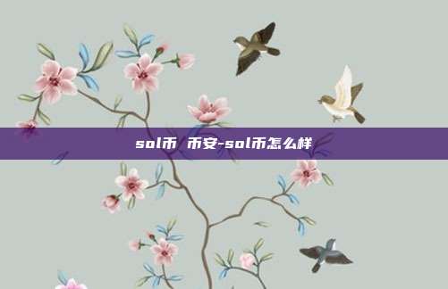 sol币 币安-sol币怎么样