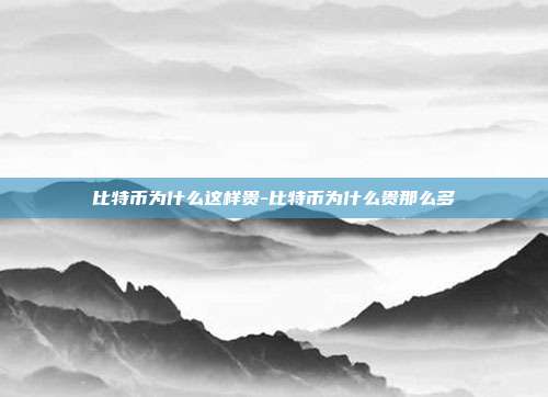 比特币为什么这样贵-比特币为什么贵那么多