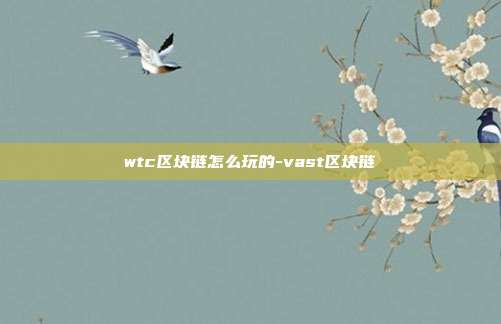 wtc区块链怎么玩的-vast区块链